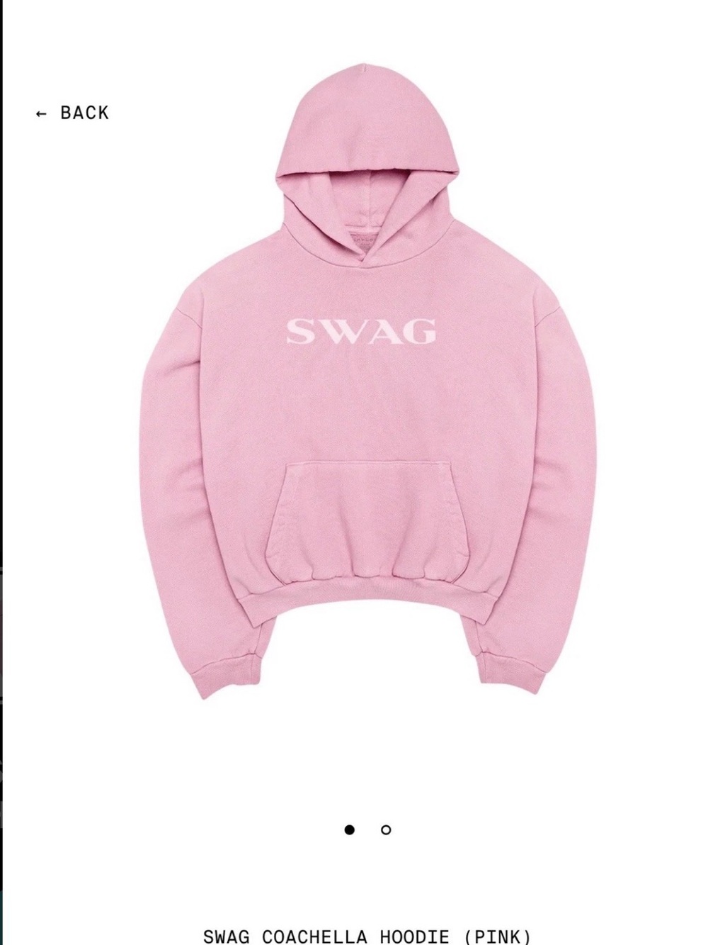 Skylrk Pink SWAG Coachella Hoodie (Medium)